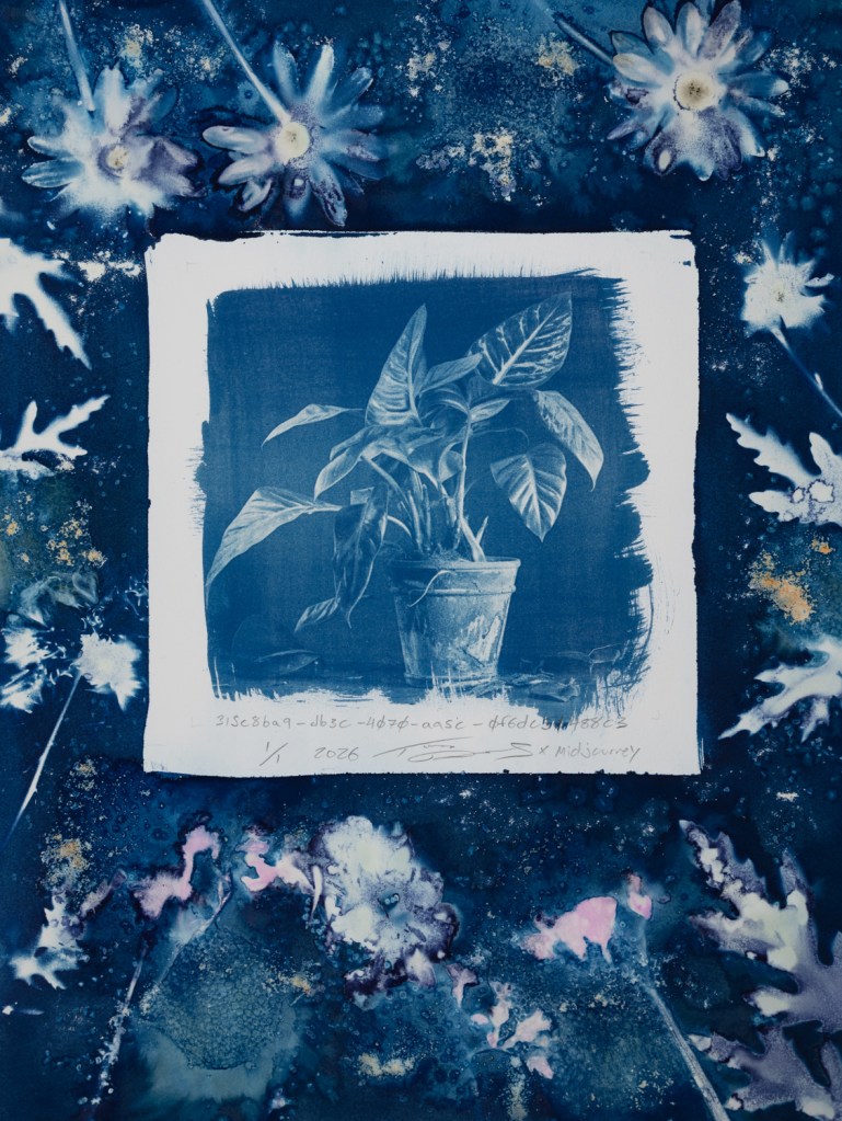 Handmade cyanotype prints on paper surrounded by handmade wet cyanotype prints of plants and flowers. The visual content includes photographic-looking images of a houseplant (that was generated using AI) surrounded by shadow prints of plants that were made with real plants and flowers. The print is predominantly blue with accents of yellow, brown, red, and pink. There is a white outline around the photographic-looking image that separates it from the shadow images of plants. The shadow images of plants are printed flush to the border of the paper. There are handwritten titles that are long strings of numbers and text separated by dashes. The print is numbered 1/1 and dated 2026. The print is signed by the artist Todd Dobbs x Midjourney.
