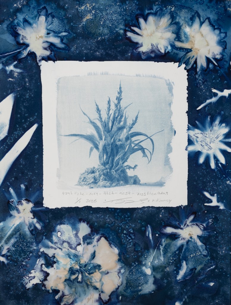 Handmade cyanotype prints on paper surrounded by handmade wet cyanotype prints of plants and flowers. The visual content includes photographic-looking images of a houseplant (that was generated using AI) surrounded by shadow prints of plants that were made with real plants and flowers. The print is predominantly blue with accents of yellow, brown, red, and pink. There is a white outline around the photographic-looking image that separates it from the shadow images of plants. The shadow images of plants are printed flush to the border of the paper. There are handwritten titles that are long strings of numbers and text separated by dashes. The print is numbered 1/1 and dated 2026. The print is signed by the artist Todd Dobbs x Midjourney.